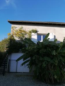a house with a fence and a tree in front of it at Le Grenier de Gaston in Thouars-sur-Garonne