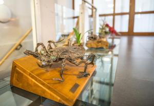 Fotografie z fotogalerie ubytování Hotel Praděd Thamm v destinaci Zlaté Hory