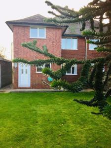a house with a christmas tree in front of it at Glenbrae House 3 bedrooms near Nantwich with countryside views on private driveway in Nantwich