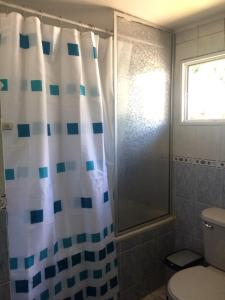 y baño con cortina de ducha y aseo. en Patagon Backpackers, en Coyhaique
