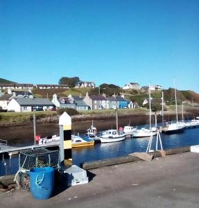 a bunch of boats are docked in a harbor at Sea Song, Selkie House in Helmsdale