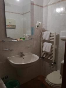 La salle de bains est pourvue d'un lavabo, de toilettes et d'un miroir. dans l'établissement Hotel Lo Scoiattolo, à Roccaraso