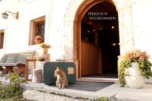 un gatto seduto accanto a una valigia di fronte a un edificio di Bio Archehof Zachhiesen a Seekirchen am Wallersee