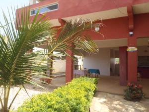 a palm tree in front of a building at Chez medzo et patou in Poponguine