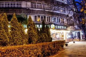 a building with christmas trees in front of a store at 432 Апартаменты в самом центре Отлично подходят для командированных и туристов in Almaty