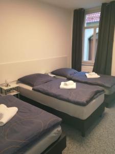 3 camas en una habitación con ventana en Kunstgasse 11 Wohnung 8 en Altemburgo