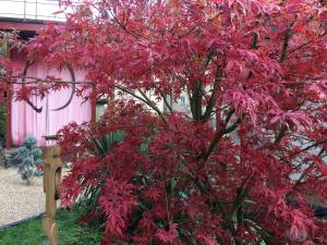 Gallery image of Minshuku Chambres d'hôtes japonaises in Thiers