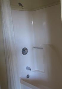 ein Bad mit einer Dusche und einer Badewanne in der Unterkunft Budgetel Inn & Suites in Rockingham