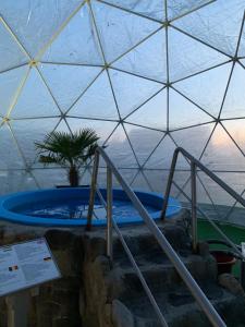 una bañera de hidromasaje en una cúpula con una palmera en ella en H49 Apartman - Adults only, en Sovata