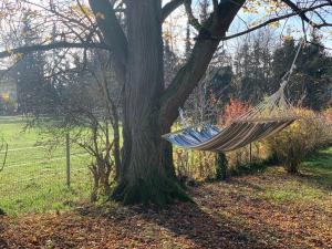 Fotografia z galérie ubytovania NED Haus v destinácii Feldkirchen bei Graz