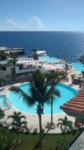 una gran piscina con palmeras y el océano en the million view room habitacion en resort solo adultos, en La Laguna