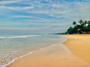 Fotografie z fotogalerie ubytování Mirage Beach House at Morava Court v Hikkaduwě