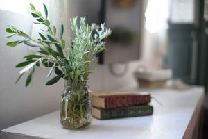a vase filled with plants sitting on a counter with books at Vintage Village House in Gastouri