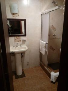 een badkamer met een wastafel en een douche bij Hotel Saint Thomas in Quito