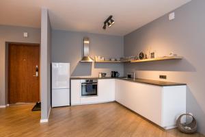 Kuchyň nebo kuchyňský kout v ubytování Spacious and sunny apartment in Birstonas center + 7 fotografií