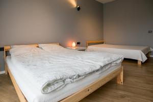 a bedroom with two beds and a table with a lamp at Spacious and sunny apartment in Birstonas center in Birštonas