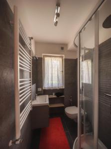 La salle de bains est pourvue de toilettes, d'un lavabo et d'une douche. dans l'établissement Cortina-House, à Cortina dʼAmpezzo