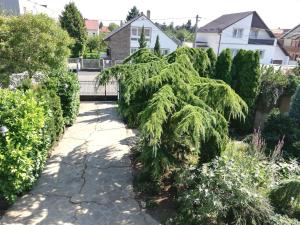 a tree in the middle of a garden at Édenkert Apartman in Keszthely