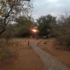 a dirt road with the sun setting in the distance at Kelora Bush Camp in Hoedspruit