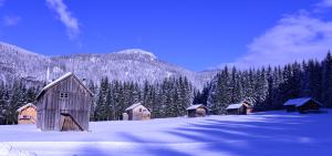 バート・アウスゼーにあるFerienwohnung Kirchschlagerの雪に覆われた森の納屋群