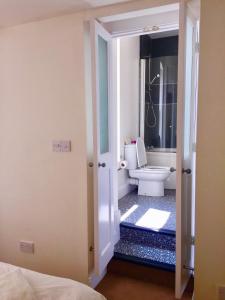 a bathroom with a toilet in a room at Seacroft in Woolacombe