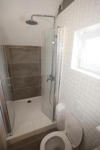 a bathroom with a shower and a toilet at Apartments Rooms PAROMLIN CENTAR in Zagreb