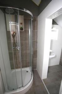 e bagno con doccia, servizi igienici e lavandino. di Apartments Rooms PAROMLIN CENTAR a Zagabria