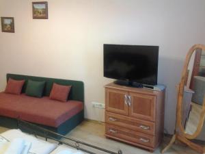 Telewizja i/lub zestaw kina domowego w obiekcie U Tří jehňátek