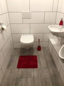 a bathroom with a toilet and a sink and a red rug at AlbTraum in Reutti