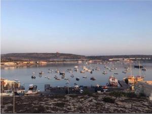 a bunch of boats sitting in a harbor at Sea View Apartment Mellieha in Mellieħa