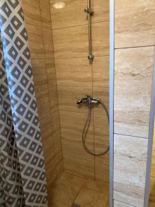 a shower with a glass door in a bathroom at Monti Domki całoroczne in Mierzyn