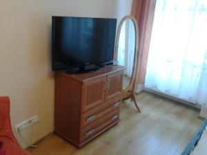 Telewizja i/lub zestaw kina domowego w obiekcie U Tří jehňátek