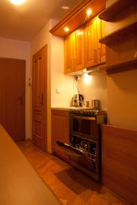 Kuchyň nebo kuchyňský kout v ubytování Apartmán Petra Clinic Javor