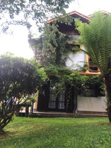 a house with plants growing on the side of it at Vivendas de Monte Verde in Monte Verde