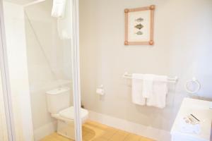 a bathroom with a shower and a toilet at Audrey Wilkinson Vineyard in Pokolbin +49 photos