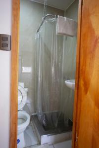 uma casa de banho com um chuveiro, um WC e um lavatório. em Tel Hauke Hostal em Punta Arenas