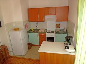 Kuchyň nebo kuchyňský kout v ubytování Apartments Jelka