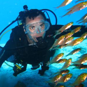 a man in a diving mask looking at a group of fish at Secret Garden Bungalows in Nusa Lembongan
