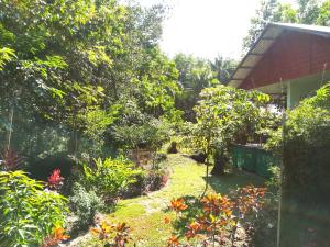 a garden in front of a house at Pink Kangaroo Bungalows in Ko Kood