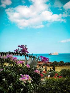 a view of the beach with flowers and the ocean at Natica Mare Villas in Xerokampos