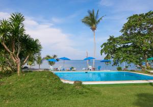 Bazén v ubytování Elephant Bay Resort nebo v jeho okolí + 21 fotografií