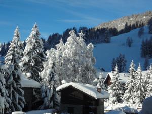 Hotel L' Aiglon að vetri til