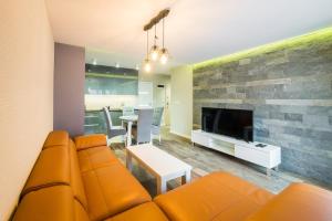 Televízia a/alebo spoločenská miestnosť v ubytovaní Apartament Rakowicka 14 Deluxe Old Town WAWELOFTS