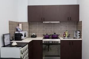 Kuchyň nebo kuchyňský kout v ubytování Dimitras Apartment