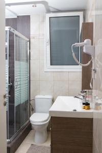a bathroom with a toilet and a shower and a sink at Dimitras Apartment in Athens