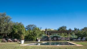 Πισίνα στο ή κοντά στο Leeuwenbosch Country House - Amakhala Game Reserve