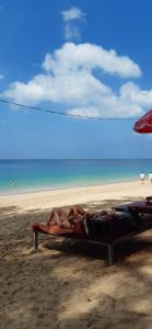 ชายหาดของโฮสเทลหรือชายหาดที่อยู่ใกล้ ๆ