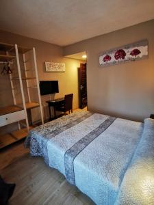 a bedroom with a bed and a desk and a television at Hotel Restaurante Las Galias in Zuera