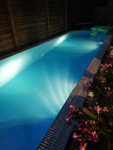 - une piscine éclairée la nuit avec des fleurs dans l'établissement Villa Pelso, à Balatongyörök