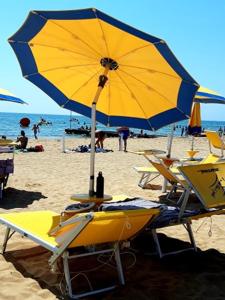 Hotel Nizza Frontemare Superior 3 Stelle في ليدو دي يسولو: مجموعة من الكراسي ومظلة على الشاطئ